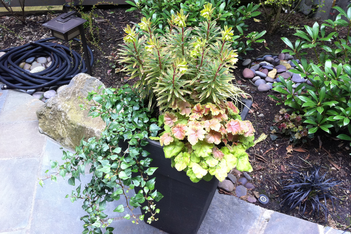 Planters & Patios